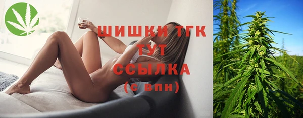бошки Гусиноозёрск
