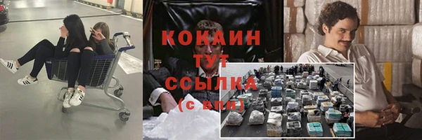 дживик Кущёвская