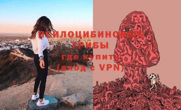 бошки Гусиноозёрск