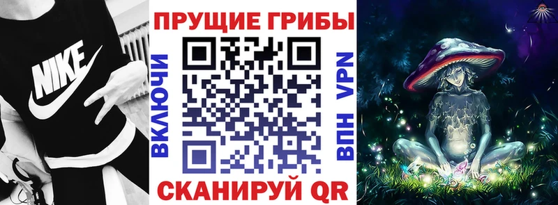 Галлюциногенные грибы ЛСД Бавлы